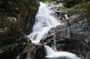 九龙江国家森林公