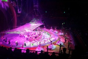 隋唐百戏城大马戏团