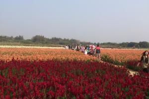 寮采村世外桃源