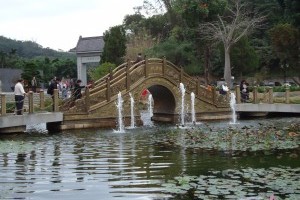 同源桥